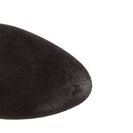 Incaltaminte Femei Dolce Vita Ashbey Black Suede