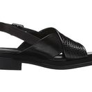 Incaltaminte Femei Robert Clergerie Calientek Black Croc