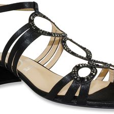 J. Renee Terri Black Glimmer