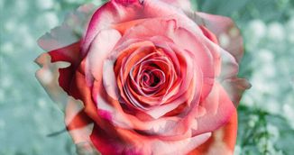 Horoscop saptamanal 28 ianuarie - 3 februarie: Incepe o saptamana de foc pentru toate zodiile