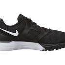 Incaltaminte Femei Nike Tri Fusion Run BlackGrey