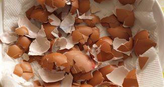Cojile de ou fac minuni pentru organism. Motivul pentru care este indicat sa le consumi