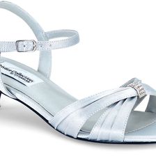 Dyeables Fiesta Silver