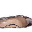 Incaltaminte Femei COACH Smith FogIvory Multi Python