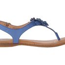 Incaltaminte Femei Born D\'Anna Blue Full Grain Leather