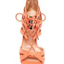 Incaltaminte Femei Elegant Footwear Aries Lace-Up Caged Sandal CORAL