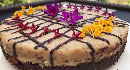 Tort fara zahar, cu ciocolata si cocos. Nu ai mancat nimic mai bun. Excelent pentru dieta