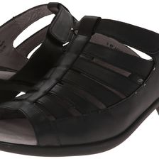 David Tate Summer Black SP14