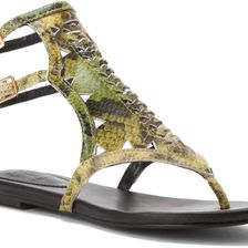 Hardy Design Works Anlaby Green Snake