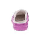 Incaltaminte Femei Crocs Freesail Lined Clog WildOrchardOatmeal