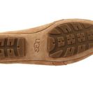 Incaltaminte Femei UGG Aven Tawny