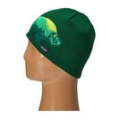 Accesorii Femei Patagonia Lined Beanie Wild PlacesHunter Green