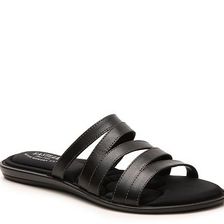 Incaltaminte Femei Eastland Phoebe Flat Sandal Black