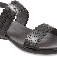 Trotters Galle Black
