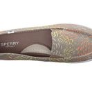 Incaltaminte Femei Sperry Top-Sider Zuma Fish Circle Taupe