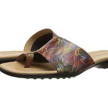 Vaneli Tallis Multi Darry Print