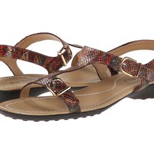 Vaneli Taletha Multi Darry Print