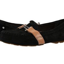 Incaltaminte Femei UGG Aven Black