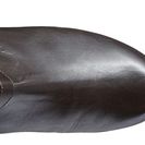 Incaltaminte Femei Walking Cradles Tessla Extra Wide Shaft Boot Brown Nappa