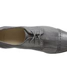 Incaltaminte Femei Cole Haan Gramercy Oxford Cap Ironstone Lizard Print