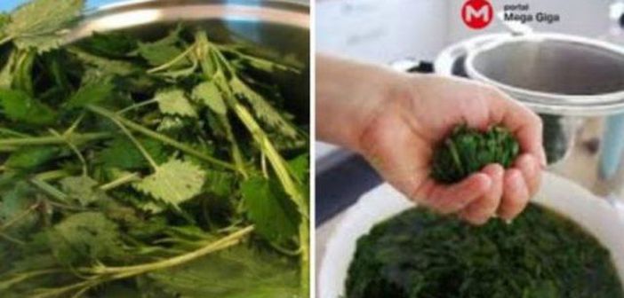 Invata sa prepari sirop de urzica! Face minuni pentru organism!