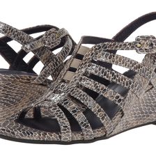 Vaneli Maslyn Taupe Per Print/Match Elastic