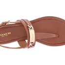 Incaltaminte Femei COACH Caterine Saddle Semi Matte Calf