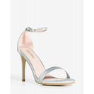 Incaltaminte Femei CheapChic Flora-15 Forever Young Heel Met Slvr