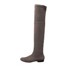 Incaltaminte Femei Robert Clergerie Fissaj Antique Suede Stretch