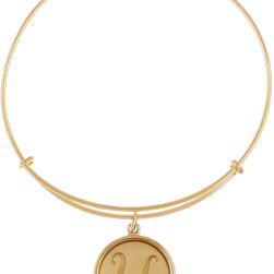 Alex and Ani 14K Gold Filled Initial U Charm Wire Bangle RUSSIAN GOLD