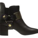 Incaltaminte Femei Just Cavalli Low Heel Bootie with Gold Hardware Black