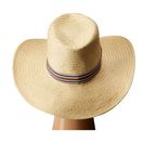 Accesorii Femei Vince Camuto Stripe Grosgrain Wide Brim Floppy Hat Tan