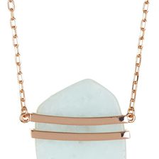 Vince Camuto Metal Cage Pendant Long Necklace ROSEG