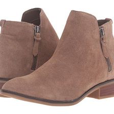 Incaltaminte Femei Steve Madden Arper Taupe Suede