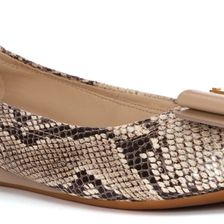 Cole Haan Tali Bow Ballet Natural Roccia Snake Print