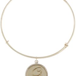 Alex and Ani Sterling Silver Initial G Charm Wire Bangle RUSSIAN SILVER