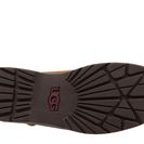 Incaltaminte Femei UGG Brielle Chestnut Leather