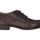 Incaltaminte Femei Frye Melissa Oxford Dark Grey Smooth Vintage Leather