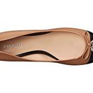 Incaltaminte Femei COACH Noella Nude Black