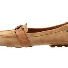 Incaltaminte Femei UGG Aven Tawny