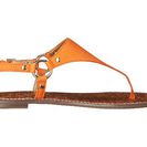 Incaltaminte Femei Sam Edelman Greta Tangelo Wayne Nubuck Leather