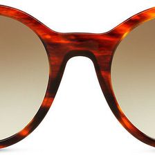 Ralph Lauren RL Butterfly Sunglasses Striped Havana