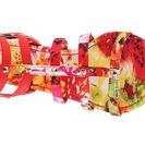 Incaltaminte Femei Bamboo Candice-52M Gladiator Sandal Red Multi