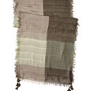 Accesorii Femei BCBGMAXAZRIA Color Block Scarf Spanish Moss