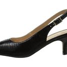 Incaltaminte Femei J Renee Classie Black
