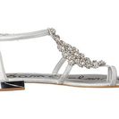 Incaltaminte Femei Sam Edelman Dillan Soft Silver Dreamy Metallic Leather