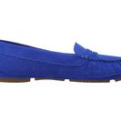 Incaltaminte Femei Aquatalia Sawyer Cobalt Suede