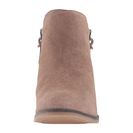 Incaltaminte Femei Steve Madden Arper Taupe Suede