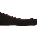 Incaltaminte Femei Calvin Klein Machia Black Kid Suede