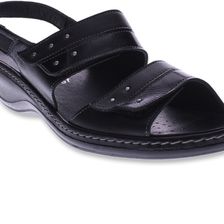 Spring Step Pointe Black